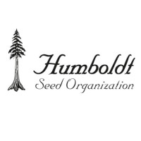 Humboldt Sour Diesel Regular Seeds