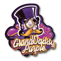 Grandpa Larry Regular Seeds - 10