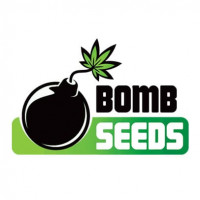 Hash Bomb Feminised Seeds