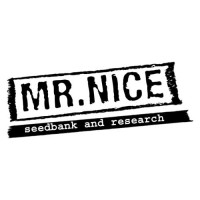 Mr Nice Skunk Haze Regular Seeds - 18