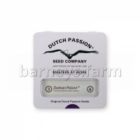 Durban Poison Regular Seeds - 10