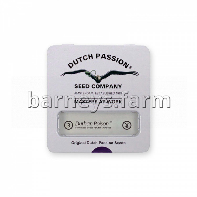 Durban Poison Regular Seeds - 10