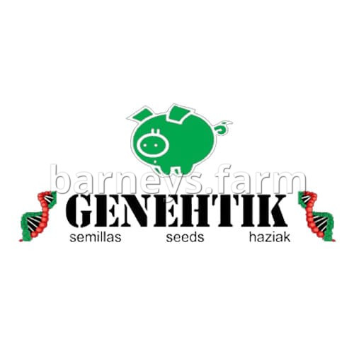 Goxuak Auto Feminised Seeds