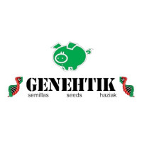 Kritikal Bilbo Auto Feminised Seeds