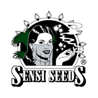 Vault - Sensi Seeds Afghan or Sensi Skunk