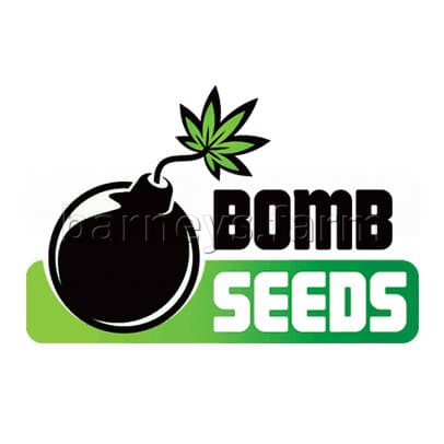 Bubble Bomb Feminised Seeds