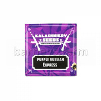 Purple Russian Express Feminised Seeds
