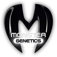 Monster Bruce Banner Auto Feminised Seeds