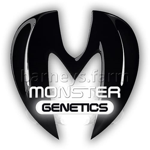 Monster Bruce Banner Auto Feminised Seeds