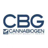 Cannabiogen Mix Regular Seeds - 15