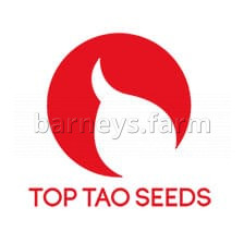 Big AUTO Tao Regular Seeds - 5