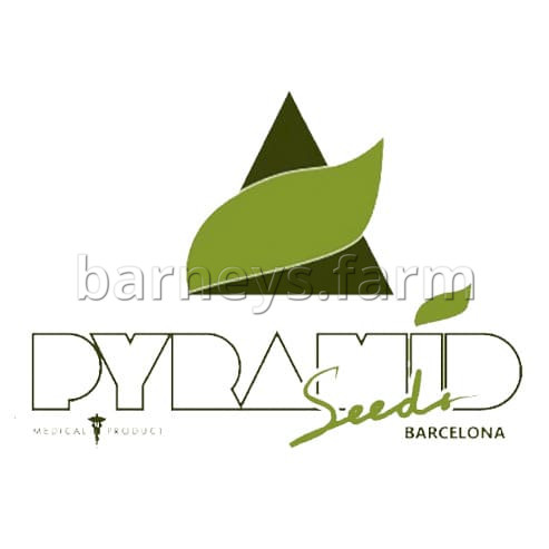 White Widow Auto Feminised Seeds