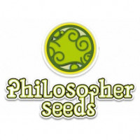 Philo Skunk Feminised Seeds
