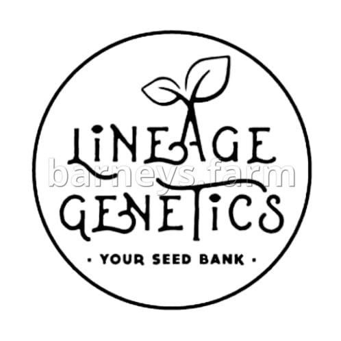 White Widow Feminised Seeds