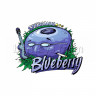 Blueberry Headband CBD Feminised Seeds