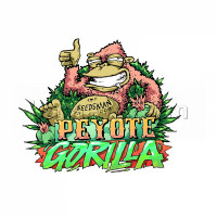 Peyote Gorilla Feminised Seeds - BULK x 100