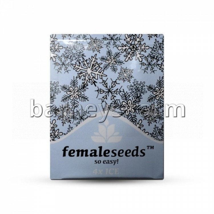 Ice Feminised Seeds - 5