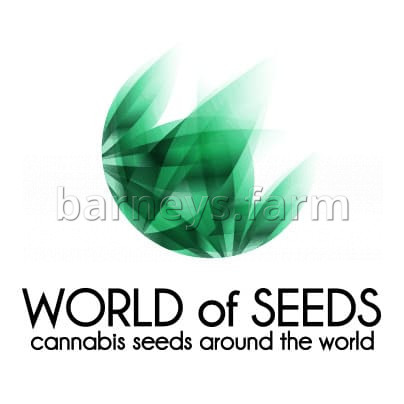 Colombian Gold Regular Seeds