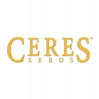 Ceres Kush Feminised Seeds