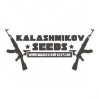 AK Kush Feminised Seeds