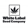 White Widow Regular Seeds - 10