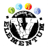 Mixed Auto Feminised Seeds