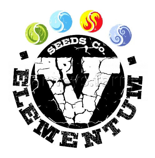 Mixed Auto Feminised Seeds