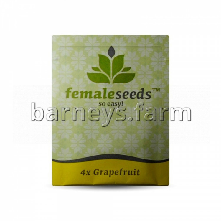 Grapefruit Diesel Feminised Seeds - 5