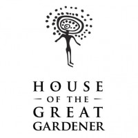 Haoma Feminised Seeds - 6