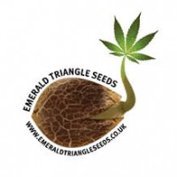 Trinity Kush Feminised Seeds