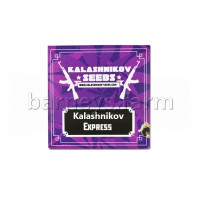 Kalashnikov Express Feminised Seeds