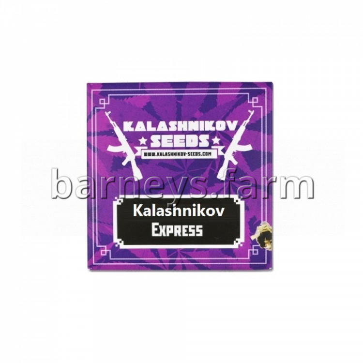 Kalashnikov Express Feminised Seeds