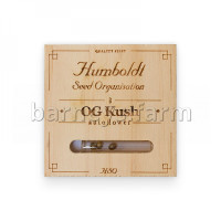 OG Kush Auto Feminised Seeds - BULK x 100