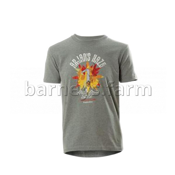 Arjan's Haze Design T-Shirt - Grey