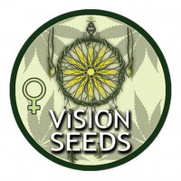 Vision Caramello Auto Feminised Seeds