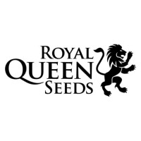 FREE SEED from Tiger One - Royal Queen Seeds Royal Gorilla Feminised Seed