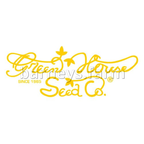 Arjan's Haze Design T-Shirt Grey – L