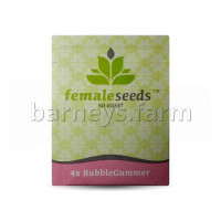 Bubblegummer Feminised Seeds