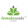 Pure AK Feminised Seeds
