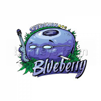 Blueberry Hashplant Regular Seeds - 11