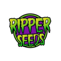 Ripper Badazz Regular Seeds - 12