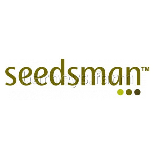 Peyote Wi-Fi Feminised Seeds
