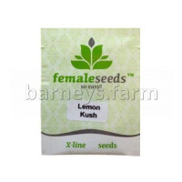 Lemon Kush Feminised Seeds