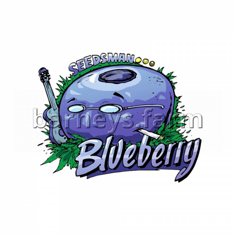 Blueberry Cookies Feminised Seeds