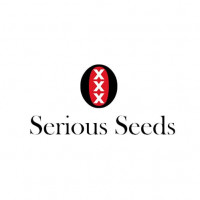 AK47 Feminised Seeds (SERIOUS) - 6