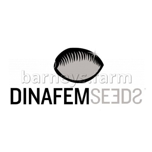 Bubba Kush Feminised Seeds