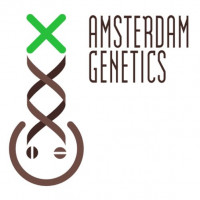 Compromise CBD Feminised Seeds (version 2)