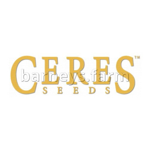 Ceres Mix Feminised Seeds